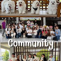 Dog Lovers Community