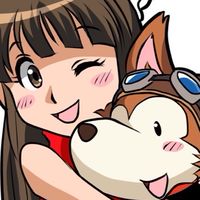 シューティングゲームとアケコン