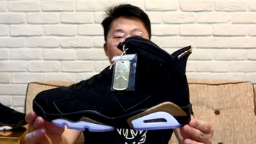 網友 liusteven11 開箱 / Air Jordan 6 ‘DMP’