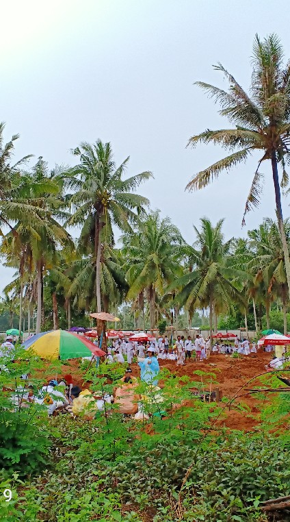 ธรรมชาติสวยงาม