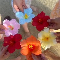 東邦大学フラダンス同好会