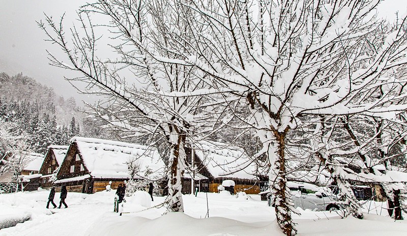 20160120-20160120-IMG_9680