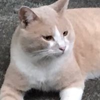 経理様　簿記様　簿記・会計の勉強中様　質問疑問チャット