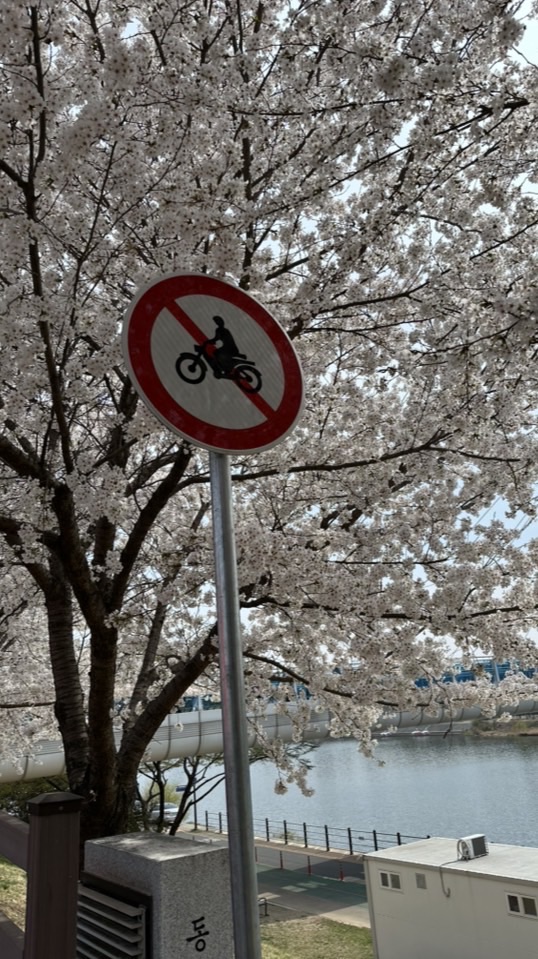 旅行一起說走就走