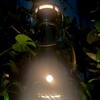 観葉植物・多肉植物・アガベ・ビカクシダ・ビザールプランツ情報交換所