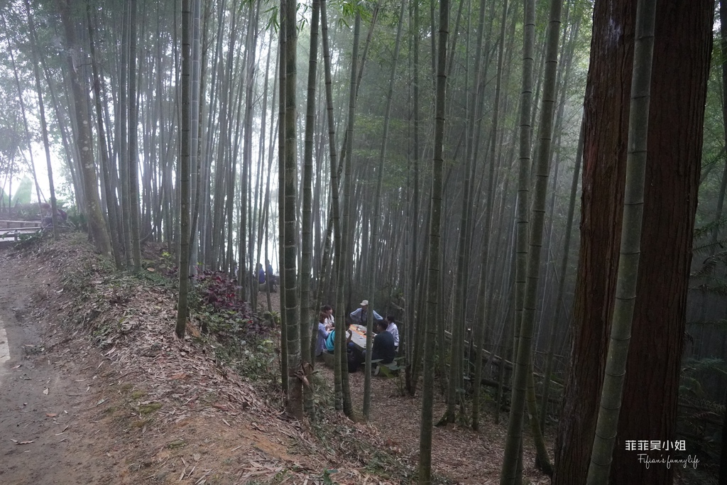 梅山瑞里竹林茶席體驗