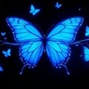 กลุ่มสีฟ้า 2569🦋