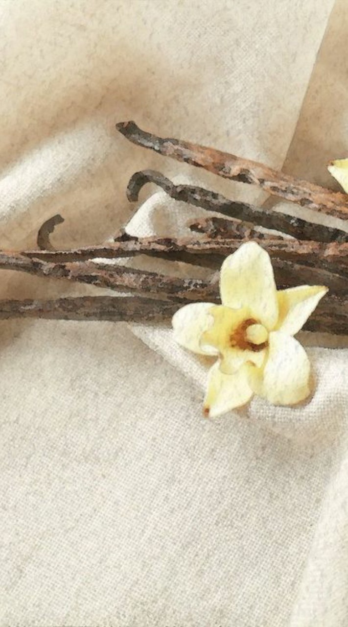 ༼ 𝐑𝐨𝐥𝐞𝐩𝐥𝐚𝐲  ˓. 𝐏𝐯 𝐠𝐫𝐨𝐮𝐩