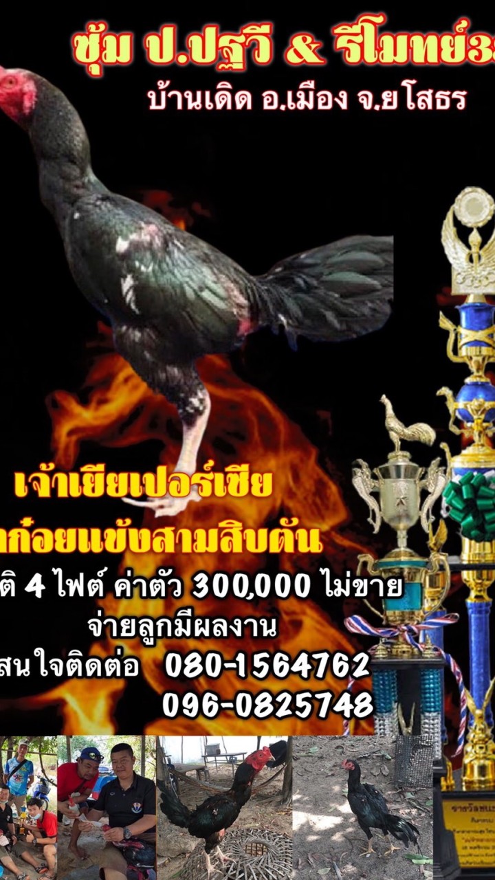 ป.ปฐวี&รีโมทย์38