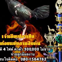 ป.ปฐวี&รีโมทย์38