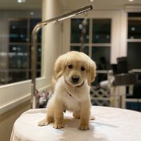 Hailey 的趣味生活