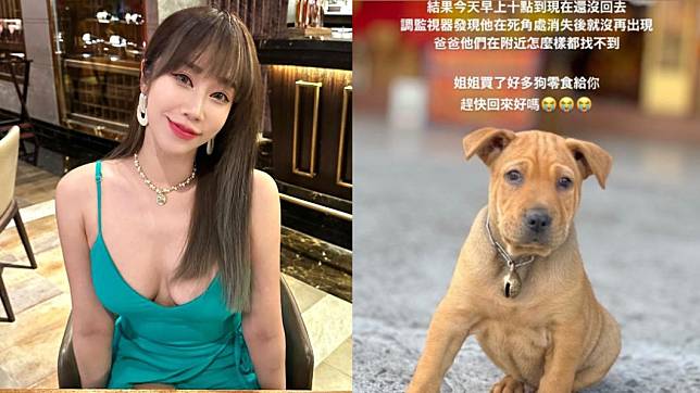 林佩瑤除夕上演愛犬走失驚魂，經過近12小時苦尋終於找回。（圖／翻攝自林佩瑤IG）