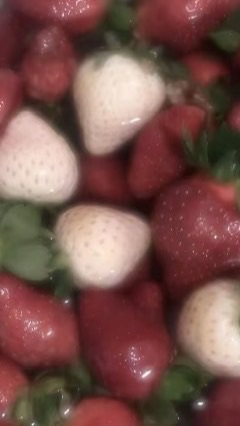 岡本莉來ちゃん、今日好き好きな人