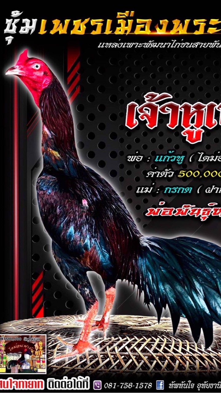 เพชรเมืองพระชนก