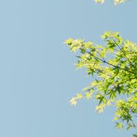 写真好きな人ののんびり部屋