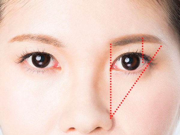 難読漢字 蒲公英 菫 艾 春の植物の読み方 ハルメク