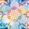 光的分享會【每日感恩覺察群】