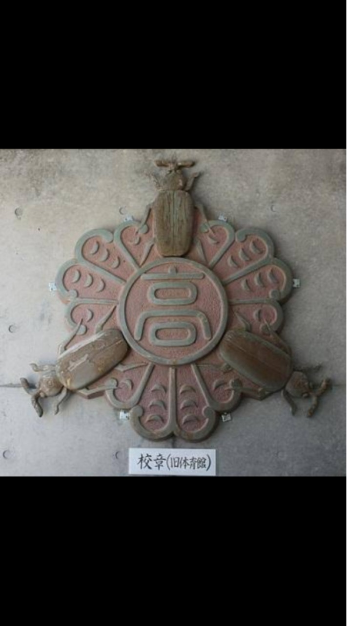 仙台三高（43回生、2008年卒）