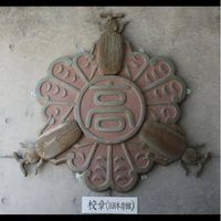 仙台三高（43回生、2008年卒）