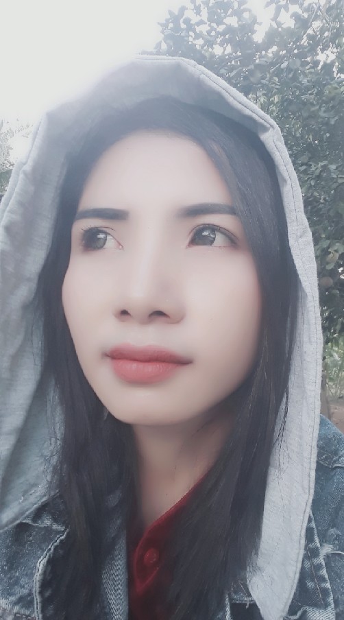 ใจหมา