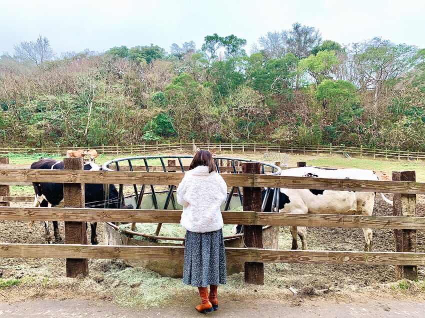 飛牛牧場 苗栗飛牛牧場怎麼玩? 門票優惠、農莊體驗、住宿推薦攻略一篇搞定！ 7 2022