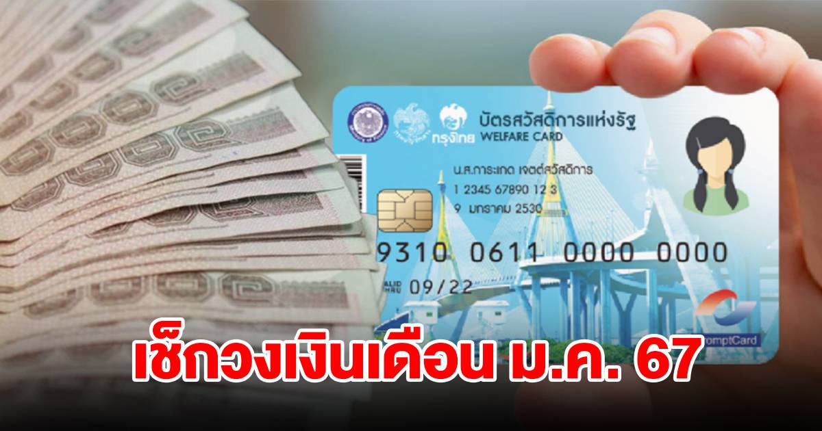 2024 Government Welfare Card Credit Limit and Rights What You Need to