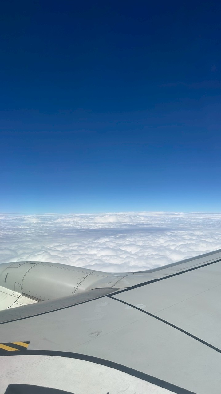 國內外旅遊✈️蛋🥚帶你去～