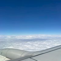 國內外旅遊✈️蛋🥚帶你去～