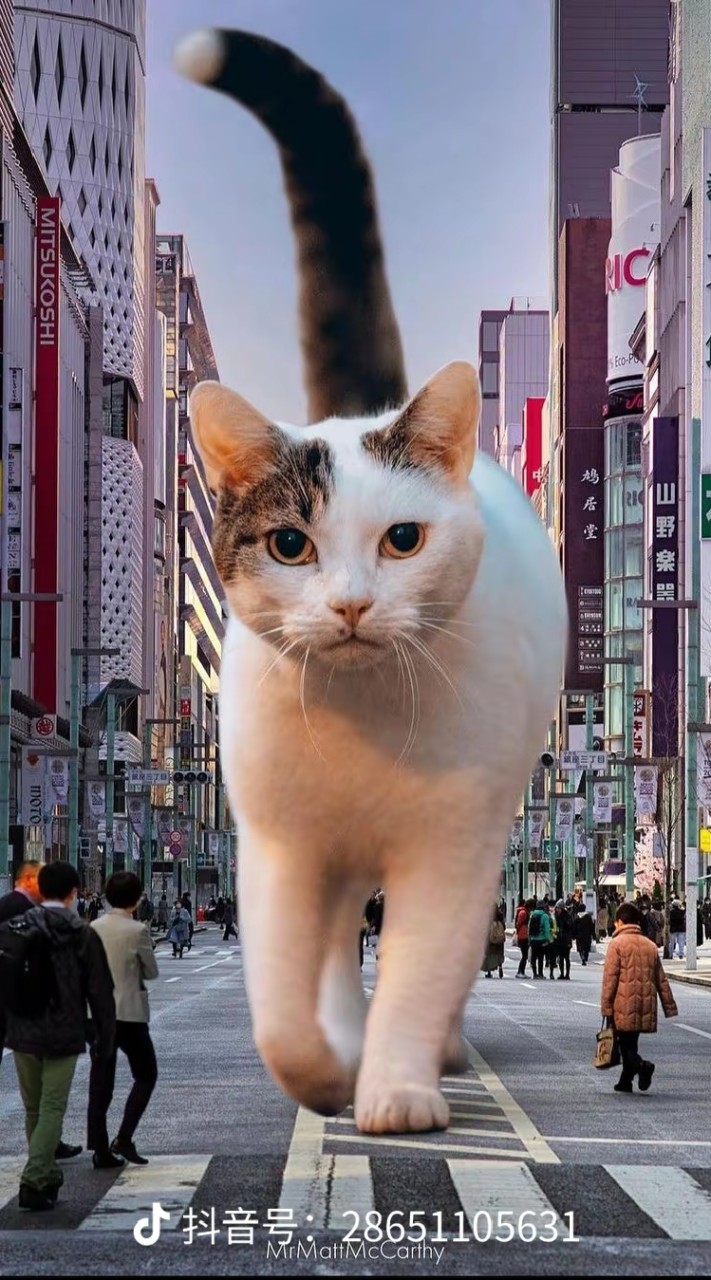 可愛動物分享群