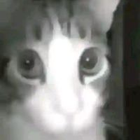 กลุ่มคนชอบวาดรูป💖✨️