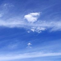 みんなの歌が聞きたいな〜！