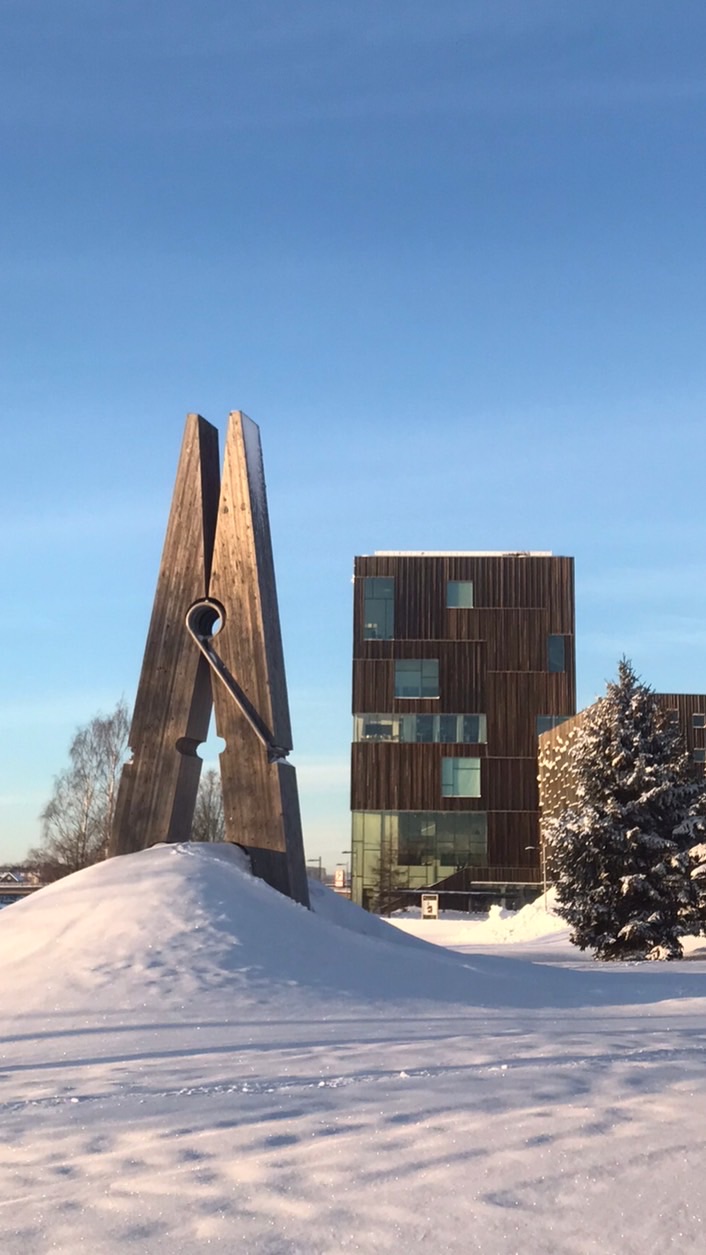 🇸🇪嫁到瑞典，戀愛從雪開始❄️(異國婚姻大百科 )