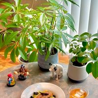 🌼南東北ふれあい広場💕【宮城・山形・福島】アラフォーからの雑談部屋💕心に花の咲く方へ🌼