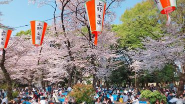 日本賞櫻｜墓園才是東京人賞櫻秘境？上野公園周遭三大賞櫻熱點