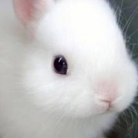 リア充なりたいもんね‼️
