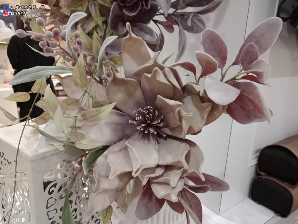 繡眼線IMG20191205211120Liz開懷大笑看世界.jpg