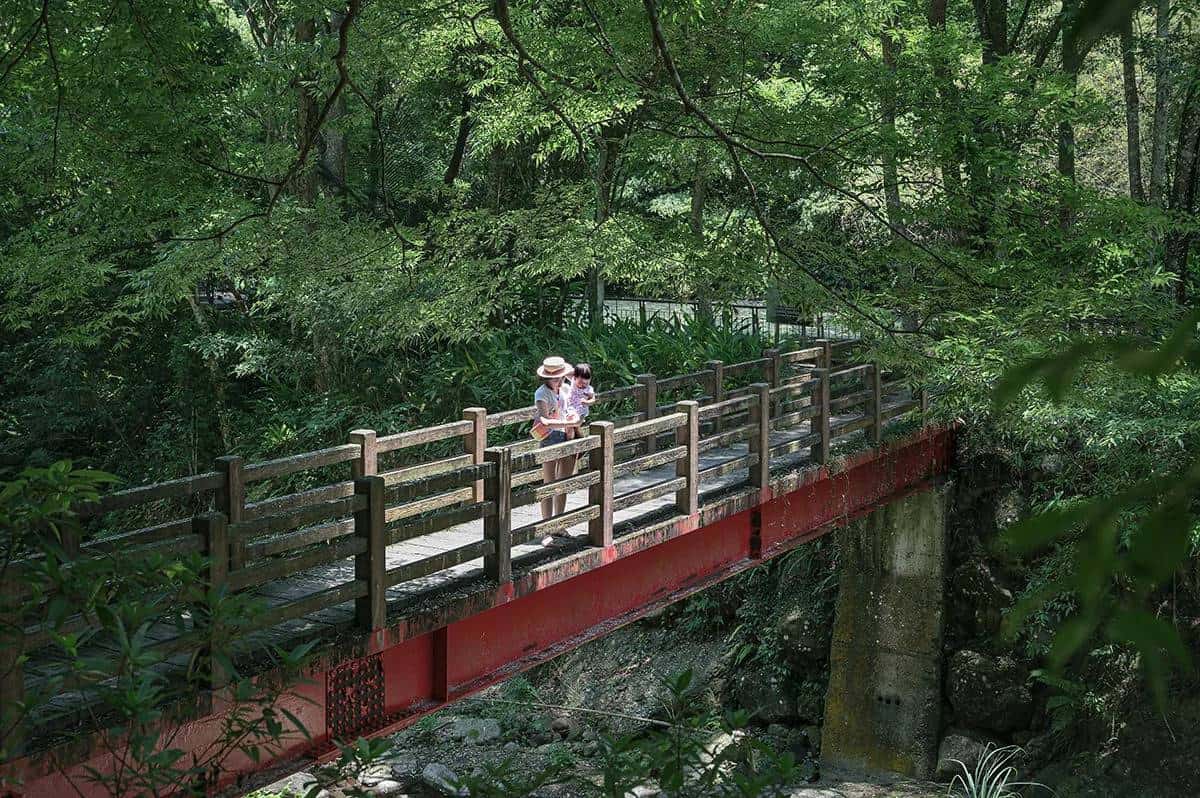 出遊不想人擠人！６大療癒「森林祕境」：打卡７層樓高空中走廊、祕境小木屋