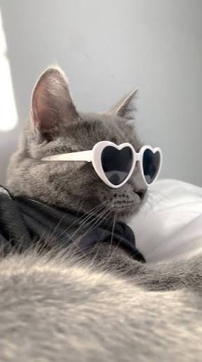 （中高生限定‼️）雑談、ライト、恋バナしよー‼️