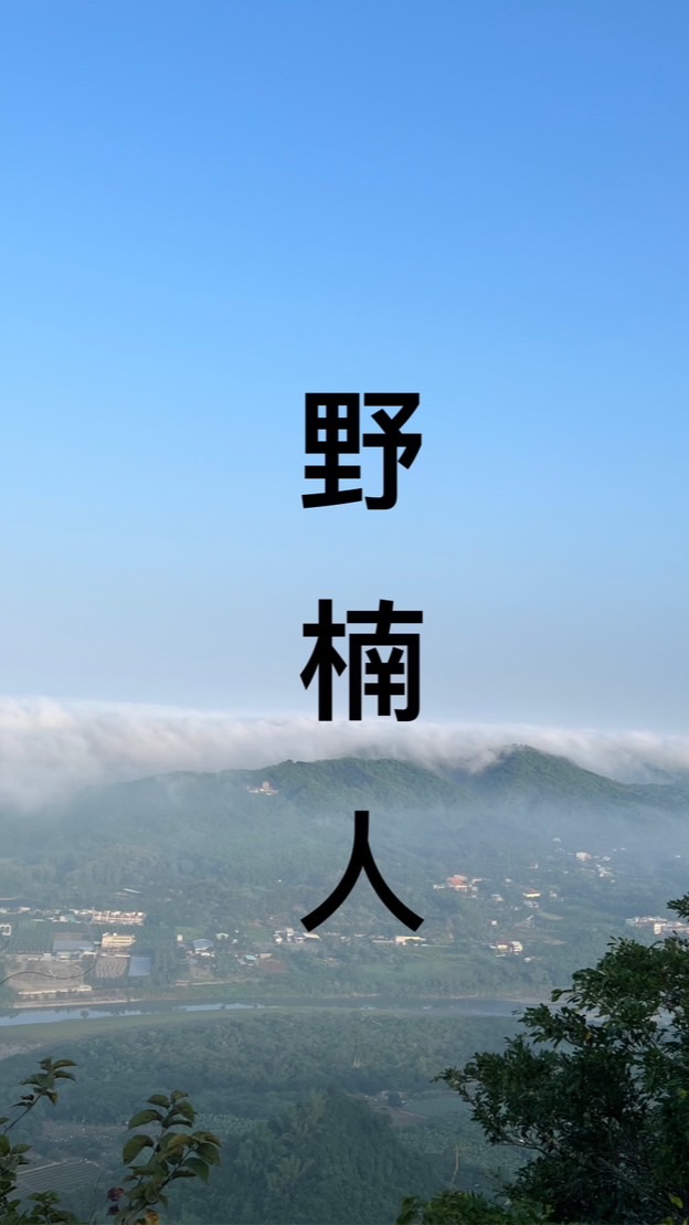 野楠人