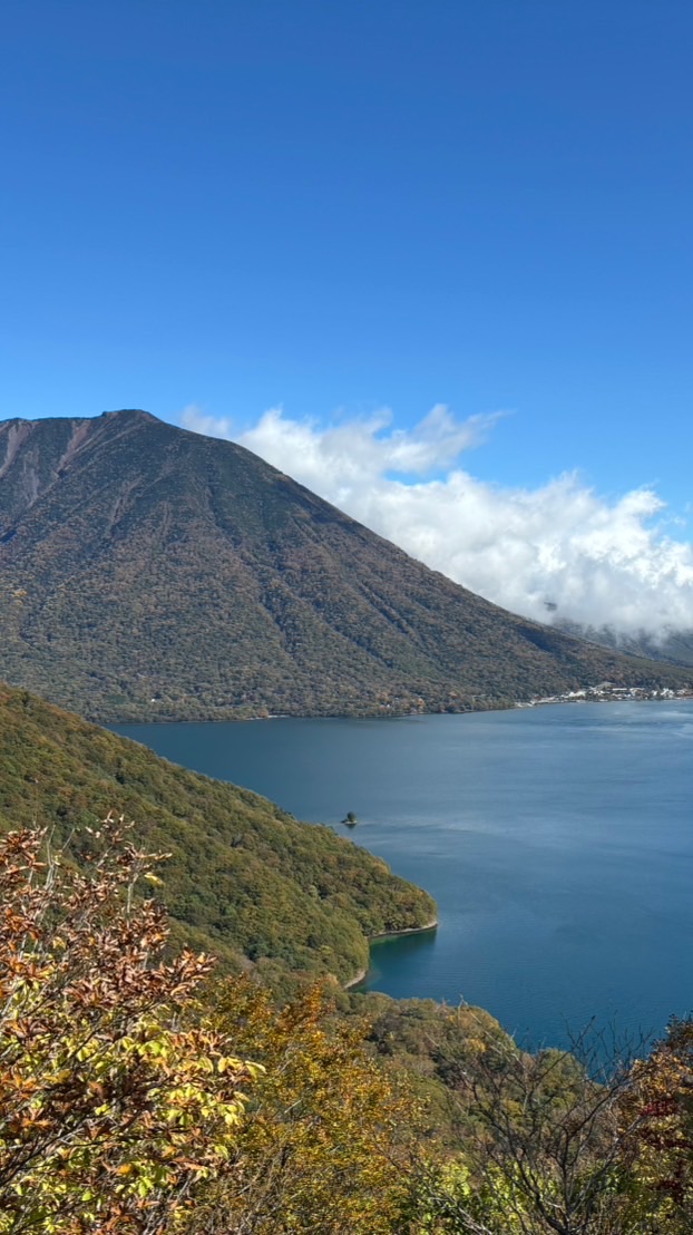 アラフィフEnjoy登山　　　　　　【都内近郊発】