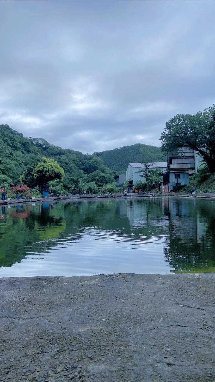 石門烏鰡池/福壽池-釣況分享
