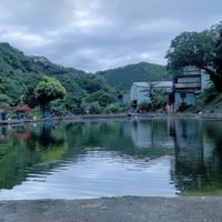 石門烏鰡池/福壽池-釣況分享