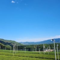 荒木琉似の抹茶を出さないお茶屋さんプロジェクト