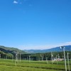 荒木琉似の抹茶を出さないお茶屋さんプロジェクト