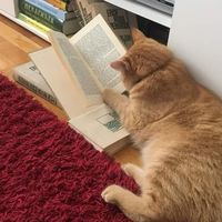 債権有識者、詐欺師撲滅の集い