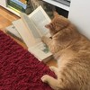 債権有識者、詐欺師撲滅の集い
