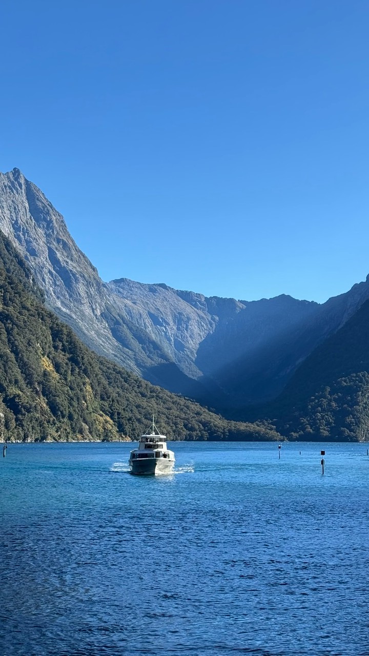 我要去紐西蘭澳洲旅遊了🇳🇿🦘🐨