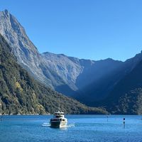 我要去紐西蘭澳洲旅遊了🇳🇿🦘🐨