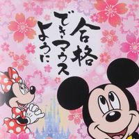 🌸110回国試新卒看護師グループ🌸