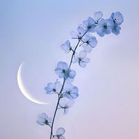 ま た 月 が 昇 る 。【　全也夢也緩也　】